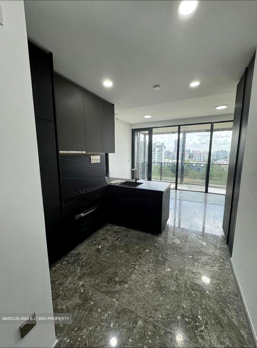 Hyll On Holland (D10), Condominium #468405651